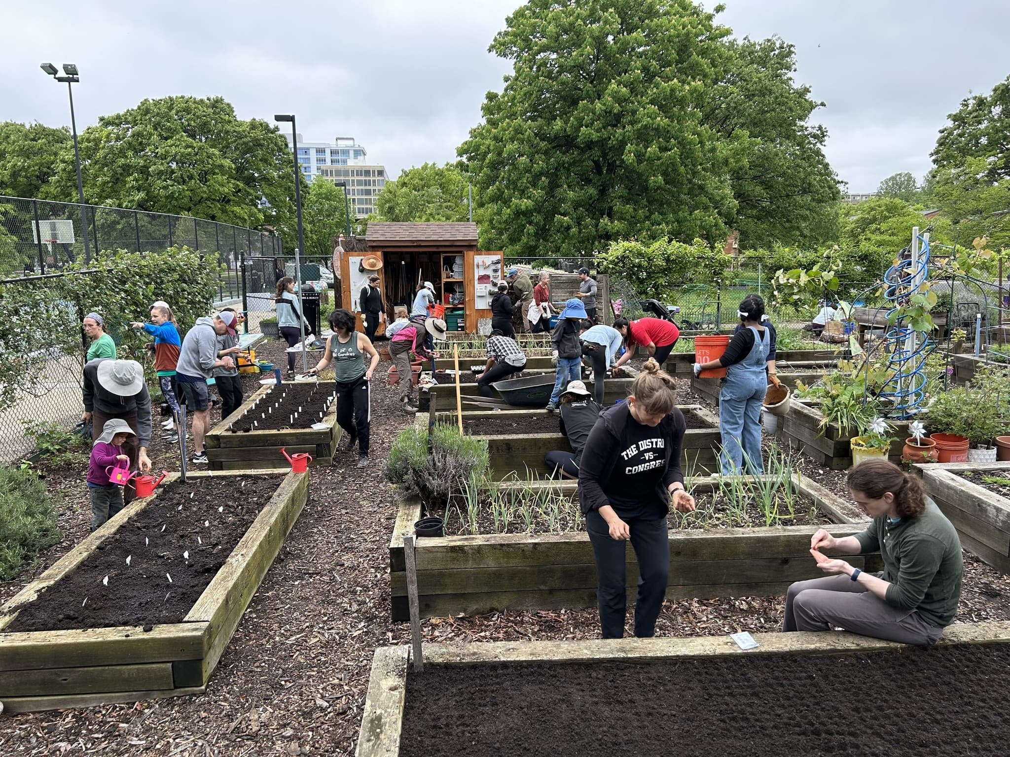 Community Garden Project